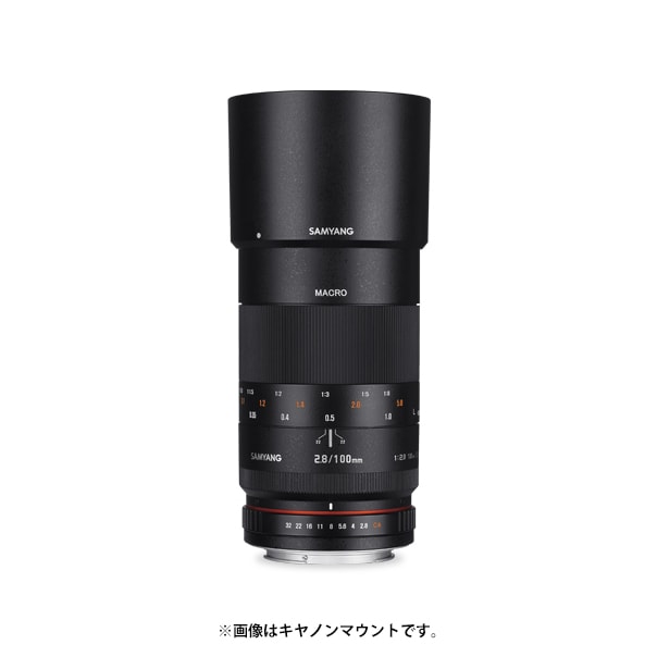 SAMYANG (サムヤン) 100mm F2.8 ED UMC MACRO (ソニーA用)