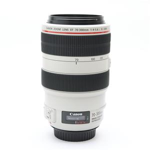 Canon (キヤノン) EF70-300mm F4-5.6L IS USM」の商品検索結果