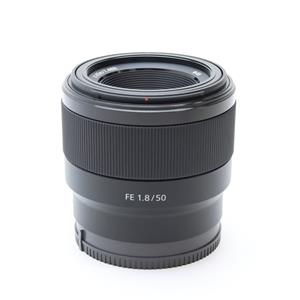 新品)SONY (ソニー) FE 50mm F1.8 SEL50F18F（商品ID：4548736033078