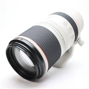 Canon (キヤノン) RF100-500mm F4.5-7.1 L IS USM メイン