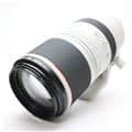 RF100-500mm F4.5-7.1 L IS USM