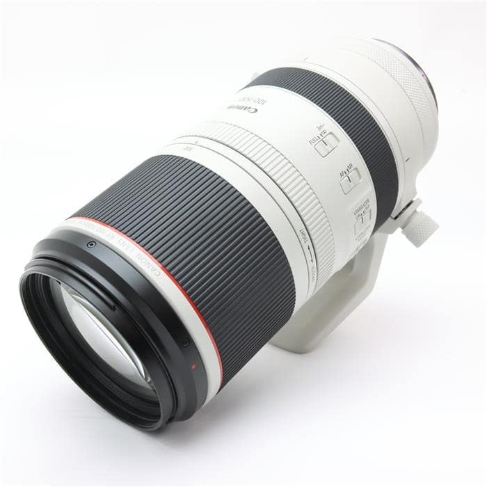 RF100-500mm F4.5-7.1 L IS USM
