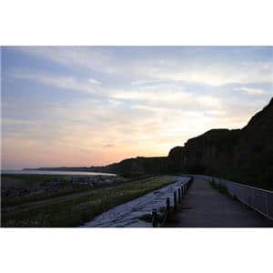 Canon (キヤノン) RF28-70mm F2.8 IS STM