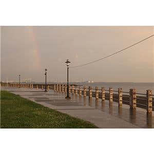 Canon (キヤノン) RF28-70mm F2.8 IS STM