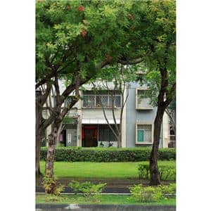 Canon (キヤノン) RF28-70mm F2.8 IS STM