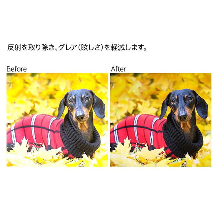 新品)K&F Concept (ケーアンドエフ・コンセプト) マウントアダプター