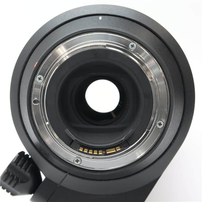 SP 150-600mm F5-6.3 Di VC USD/Model A011E(キヤノンEF用)