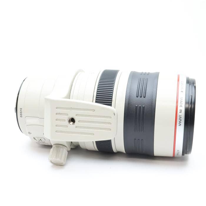 Amazon.co.jp: Canon 望遠ズームレンズ EF28-300mm F3.5-5.6L IS