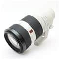 FE 100-400mm F4.5-5.6 GM OSS SEL100400GM