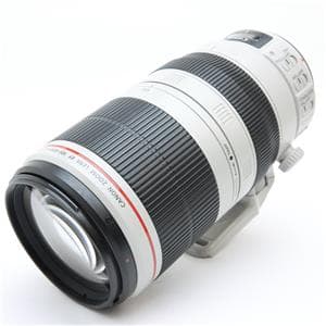 りっちゃん☆専用EF100-400㎜ F4.5-5.6L IS Ⅱ USM EF100-400mm F4.5-5.6L IS II USM｜タカシ