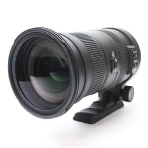 SIGMA Nikon Z mount | Nikon Z マウント | Otherレンズ