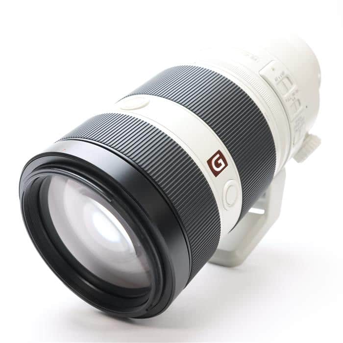 FE 100-400mm F4.5-5.6 GM OSS SEL100400GM