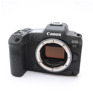 Canon (キヤノン) EOS R5 メイン