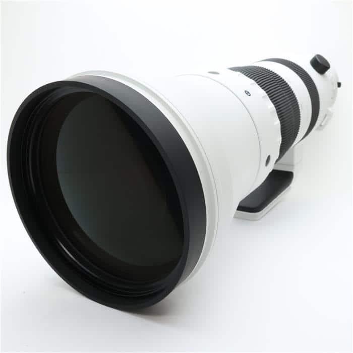 Sports 300-600mm F4 DG OS(ソニーE用/フルサイズ対応)