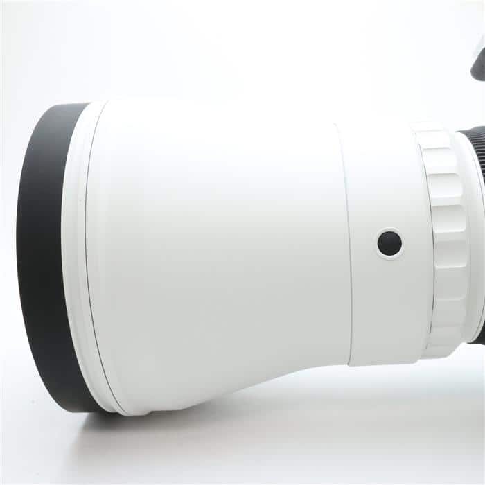 Sports 300-600mm F4 DG OS(ソニーE用/フルサイズ対応)