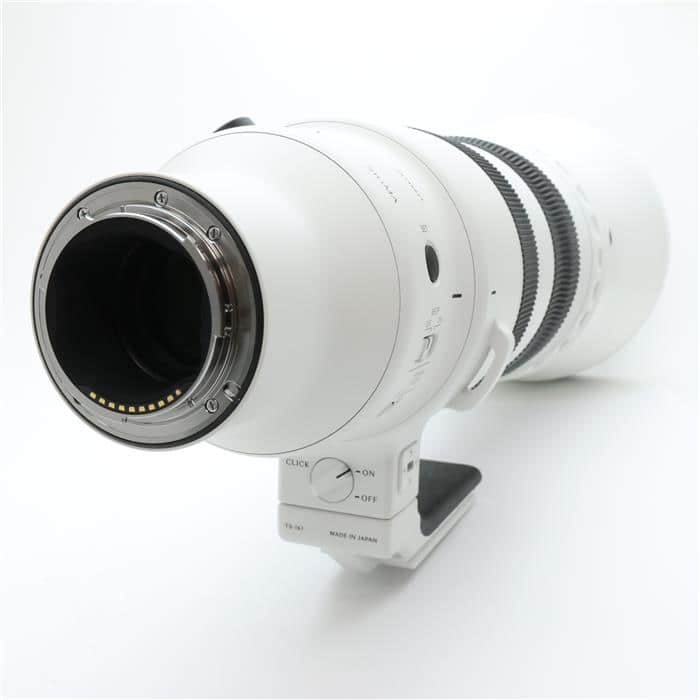 Sports 300-600mm F4 DG OS(ソニーE用/フルサイズ対応)