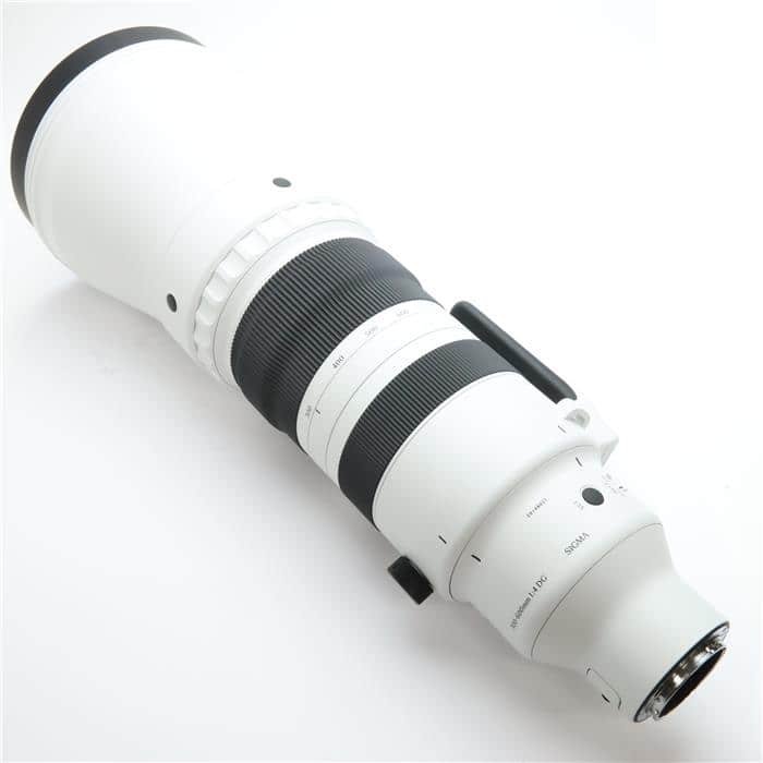 Sports 300-600mm F4 DG OS(ソニーE用/フルサイズ対応)