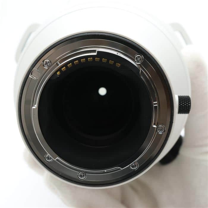 Sports 300-600mm F4 DG OS(ソニーE用/フルサイズ対応)