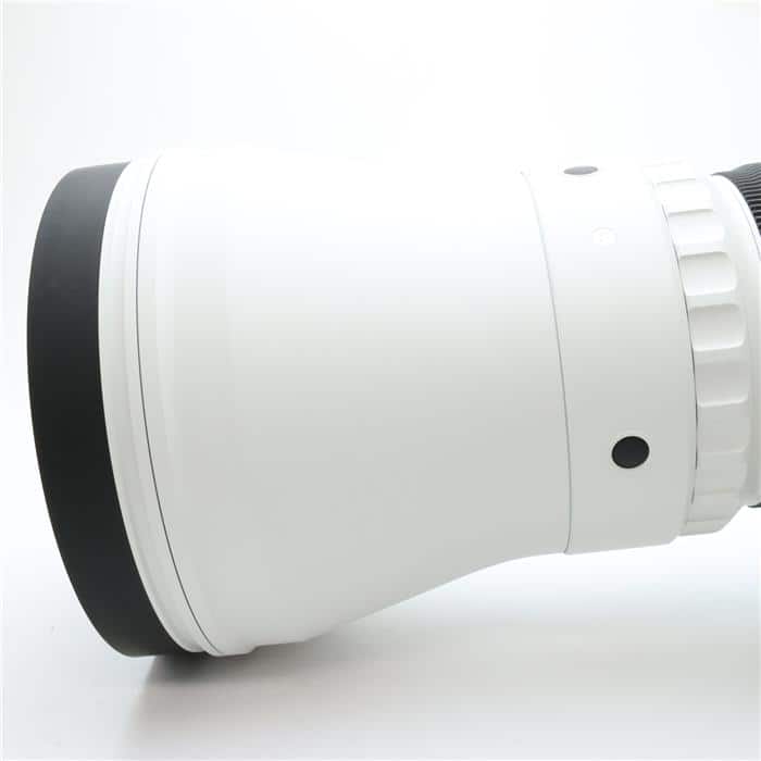 Sports 300-600mm F4 DG OS(ソニーE用/フルサイズ対応)