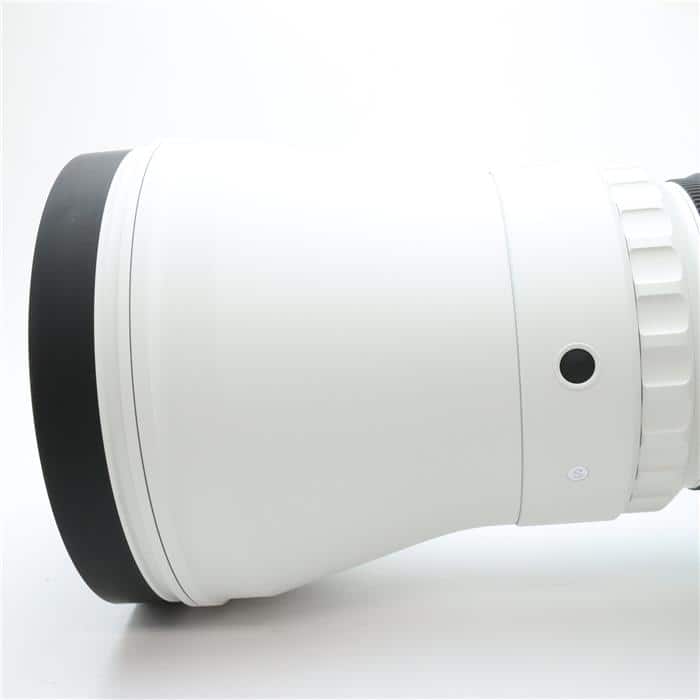 Sports 300-600mm F4 DG OS(ソニーE用/フルサイズ対応)