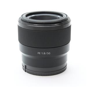 新品)SONY (ソニー) FE 50mm F1.8 SEL50F18F（商品ID：4548736033078