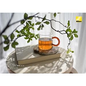 Nikon (ニコン) Z5II ボディ