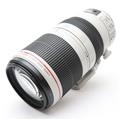 Canon (キヤノン) EF100-400mm F4.5-5.6L IS II USM
