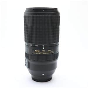 Nikon (ニコン) AF-P NIKKOR 70-300mm F4.5-5.6E ED VR メイン