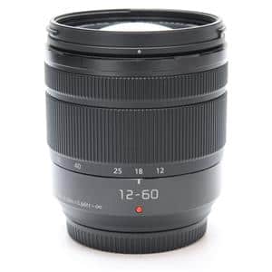 新品)Panasonic (パナソニック) LUMIX G VARIO 12-60mm F3.5-5.6
