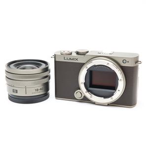 Panasonic (パナソニック) LUMIX S9 広角ズームレンズキット DC-S9N-N