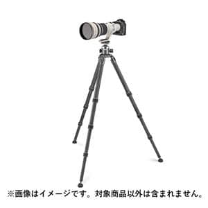 GITZO (ジッツオ) システマティックGT5543LS+雲台GH4383LRキット GK5543LS-83LR