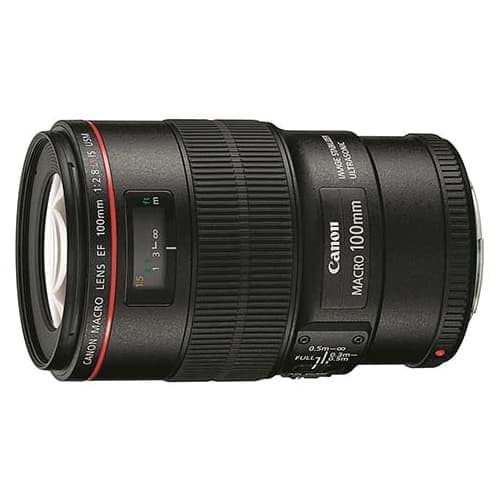 新品)Canon (キヤノン) EF100mm F2.8Lマクロ IS USM（商品ID ...