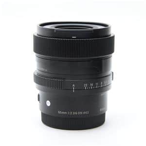 SIGMA 65mm F2」の商品検索結果 | デジタルカメラ、ミラーレス SIGMA 65mm F2」の商品検索結果 | デジタルカメラ、ミラーレス