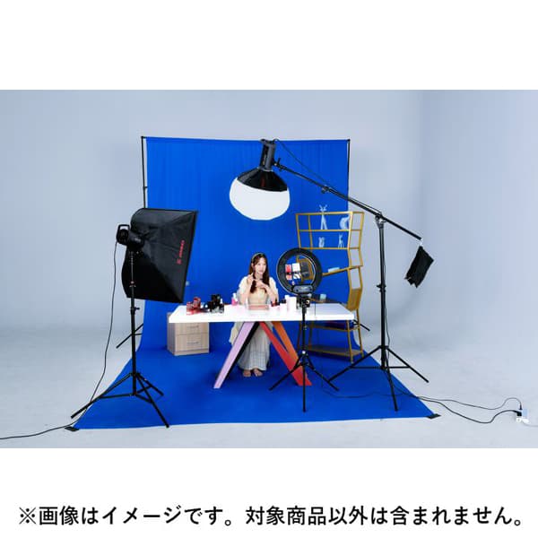 新品)suntech(サンテック） 背景布L ホワイト S813（商品ID