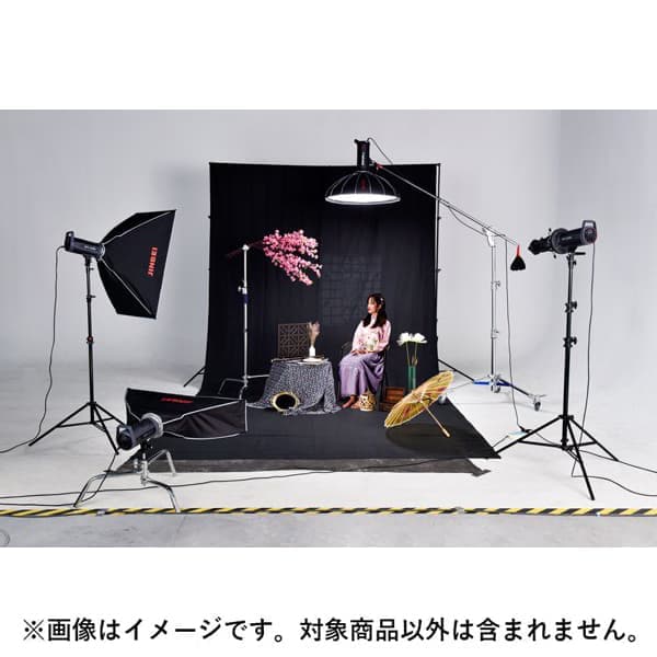 新品)suntech(サンテック） 背景布L ホワイト S813（商品ID