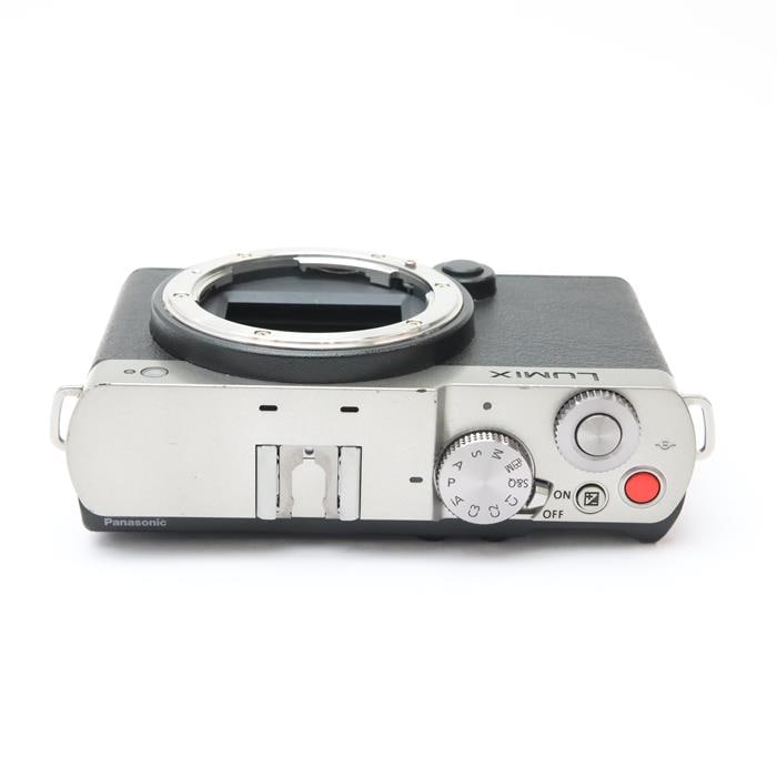 LUMIX S9 ボディ DC-S9-S