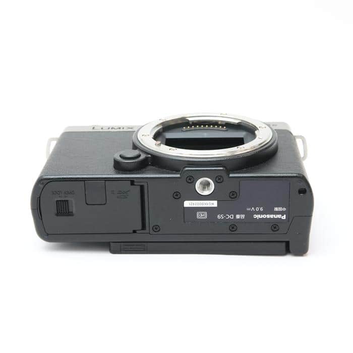 LUMIX S9 ボディ DC-S9-S