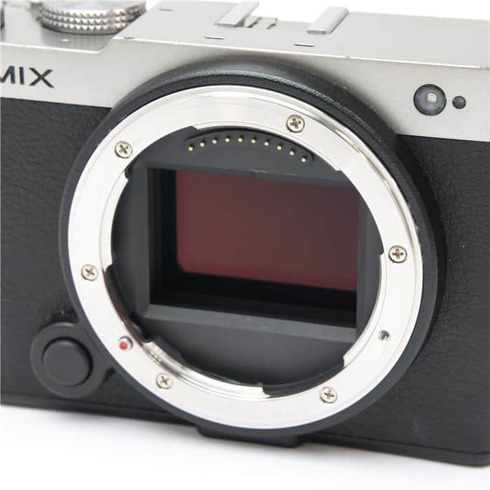 LUMIX S9 ボディ DC-S9-S