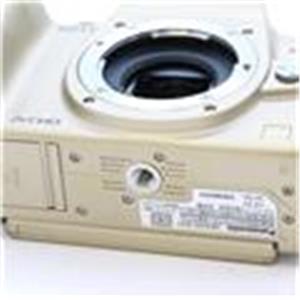 Panasonic (パナソニック) DMC-GH1 コンフォートゴールド