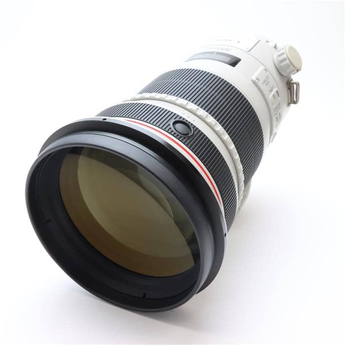 EF300mm F2.8L IS II USM