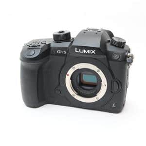 【動作確認済み】Panasonic LUMIX GH5 本体 現状品／ジャンク 動作確認済み】Panasonic LUMIX GH5 本体 現状品／ジャンク