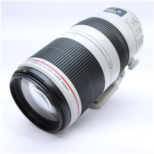 Canon (キヤノン) EF100-400mm F4.5-5.6L IS II USM メイン