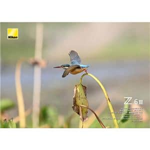 Nikon (ニコン) Z6III ボディ