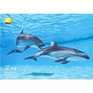 Nikon (ニコン) Z6III ボディ