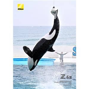 Nikon (ニコン) Z6III ボディ