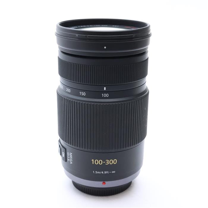 LUMIX G VARIO 100-300mm F4.0-5.6 MEGA O.I.S.