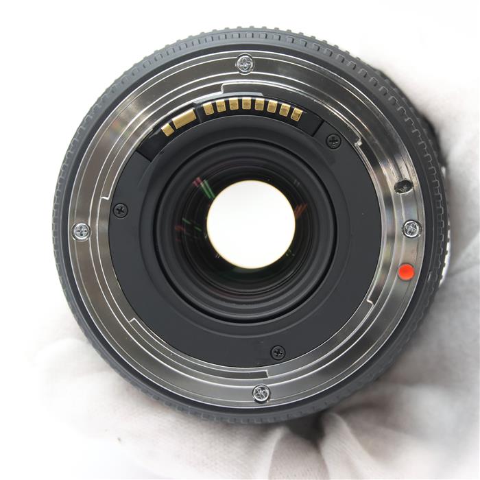 12-24mm F4.5-5.6 II DG HSM (キヤノンEF用)