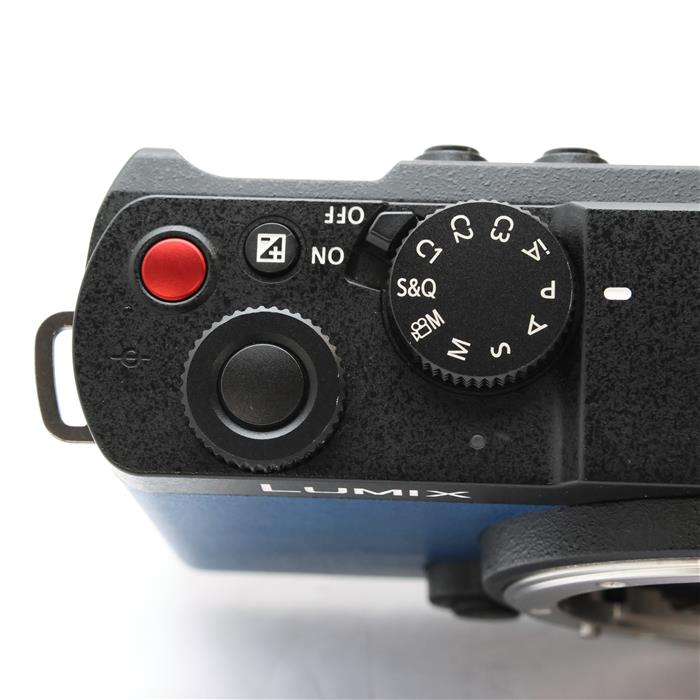 LUMIX S9 ボディ DC-S9-K エクステリア張替済み