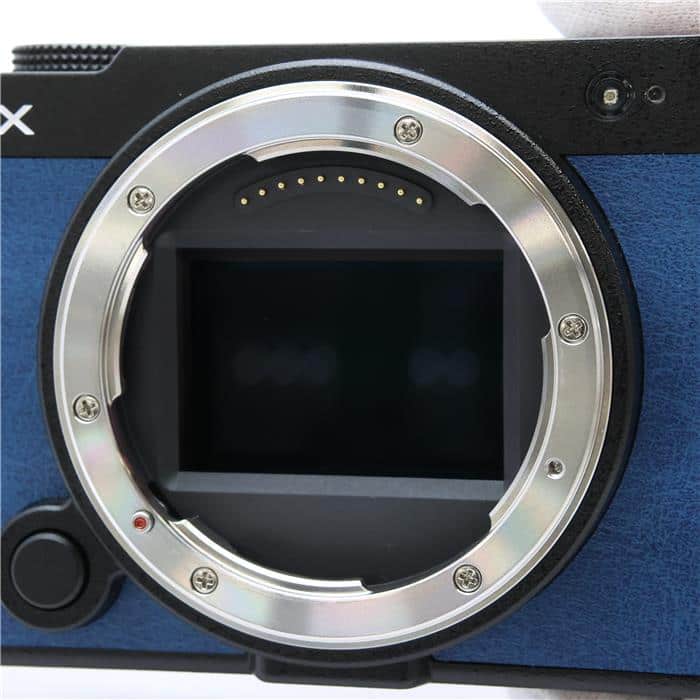 LUMIX S9 ボディ DC-S9-K エクステリア張替済み