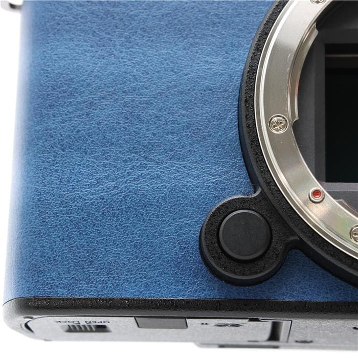 LUMIX S9 ボディ DC-S9-K エクステリア張替済み